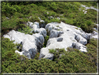 foto Panorama dal Monte Verena